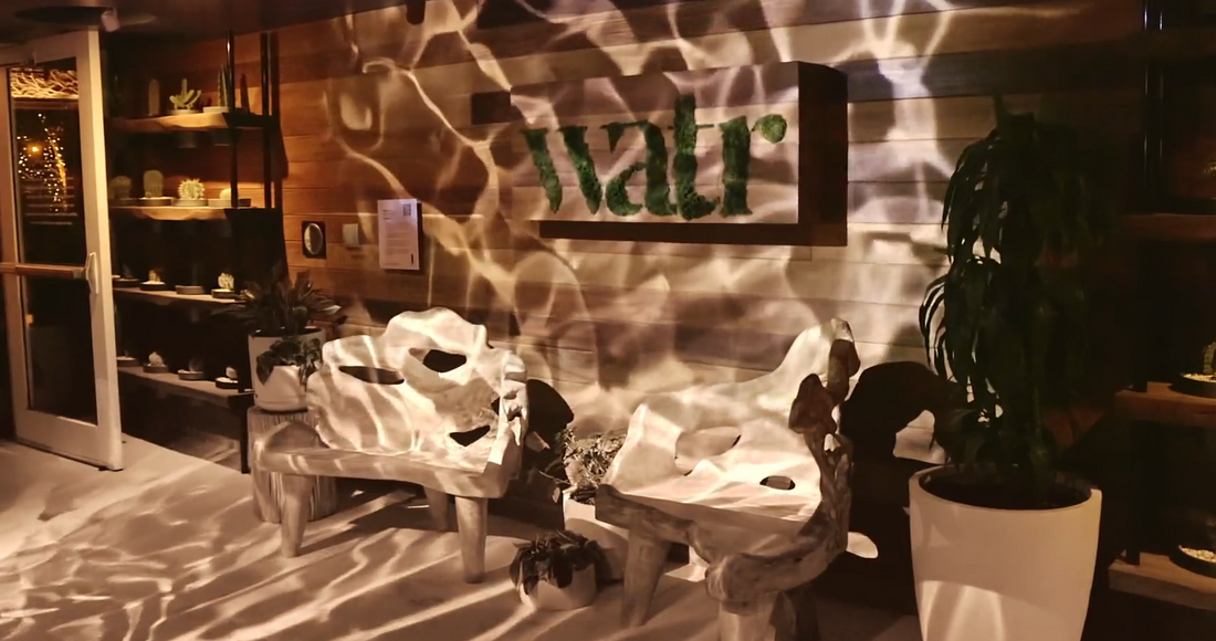 Art Basel Miami: Immersive Installations