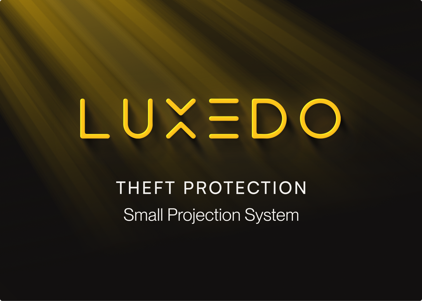 Theft Insurance and Extended Warranty
